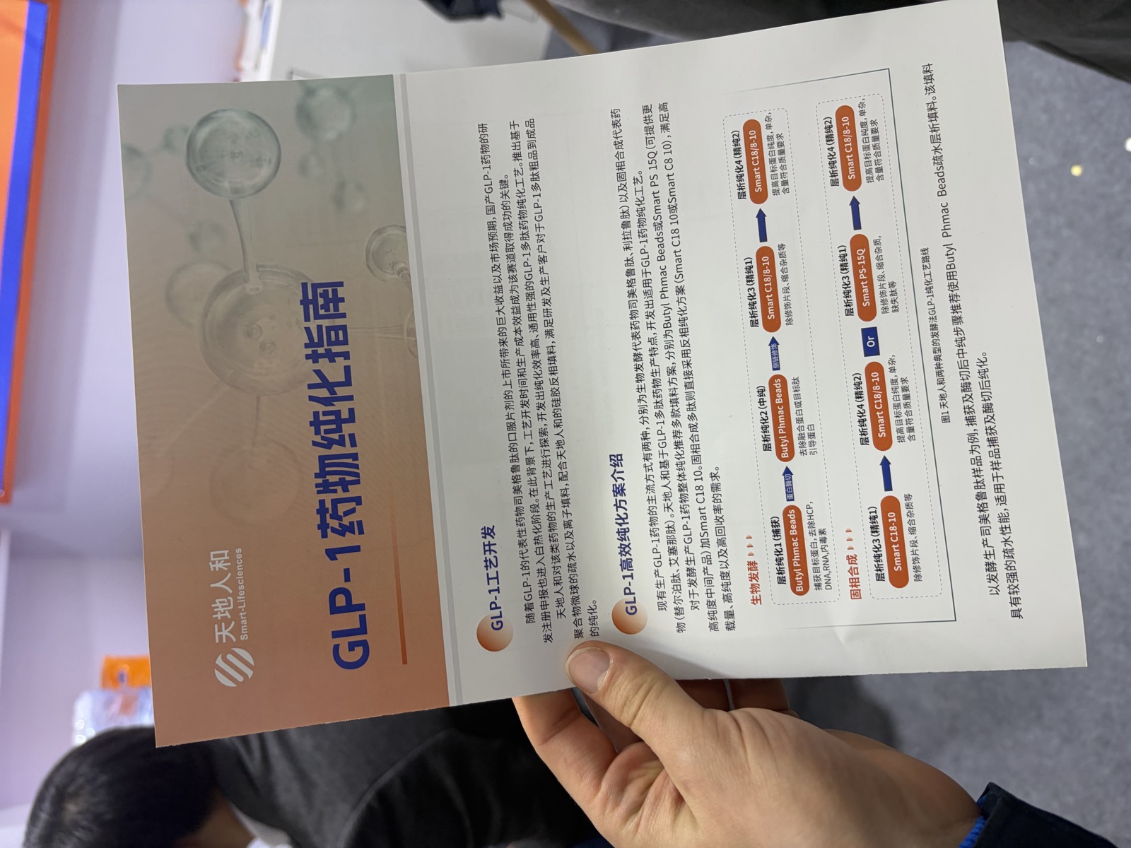 A GLP-1 drug purification guide handed to me at a BIOCHINA booth, covering semaglutide, liraglutide, and tirzepatide processing